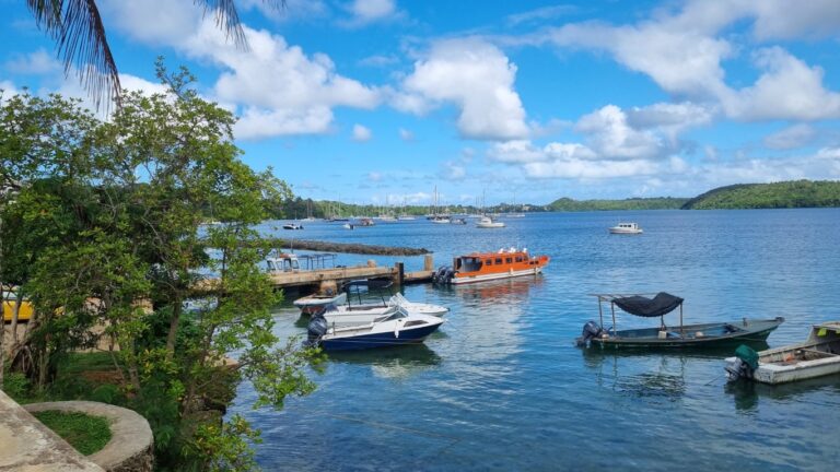 20250601_125016 (Medium)