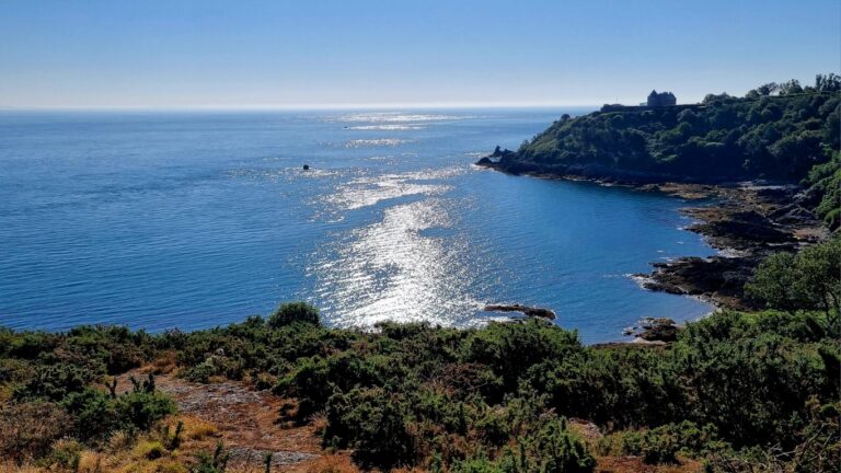 The cliff walk along this coast is sensational